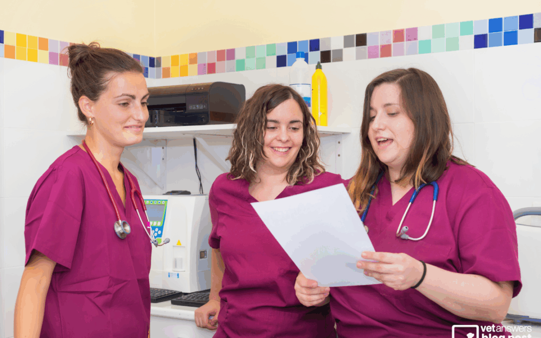 Personal Accountability in your Veterinary Life: Part 2 Procrastination